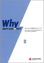 seishonen_kouksaikoryu_handb.png